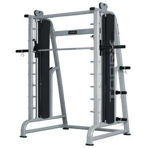 TOORX WLX 6500 MULTIPOWER, stříbrná