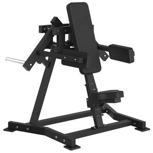 TOORX FWX 6500 Lateral Raise na kotouče